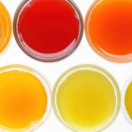 Samples for Foodservice Customers